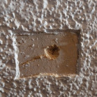 Bild06